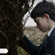 Illustration for article titled Movie Review: A Monster Calls Is a Monstrously Powerful Tearjerker